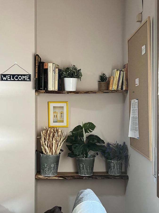 Apartamento Acogedor Pineta Bielsa Eksteriør bilde